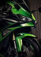Kawasaki Ninja ZX-6R – Emerald Detail Color Canvas