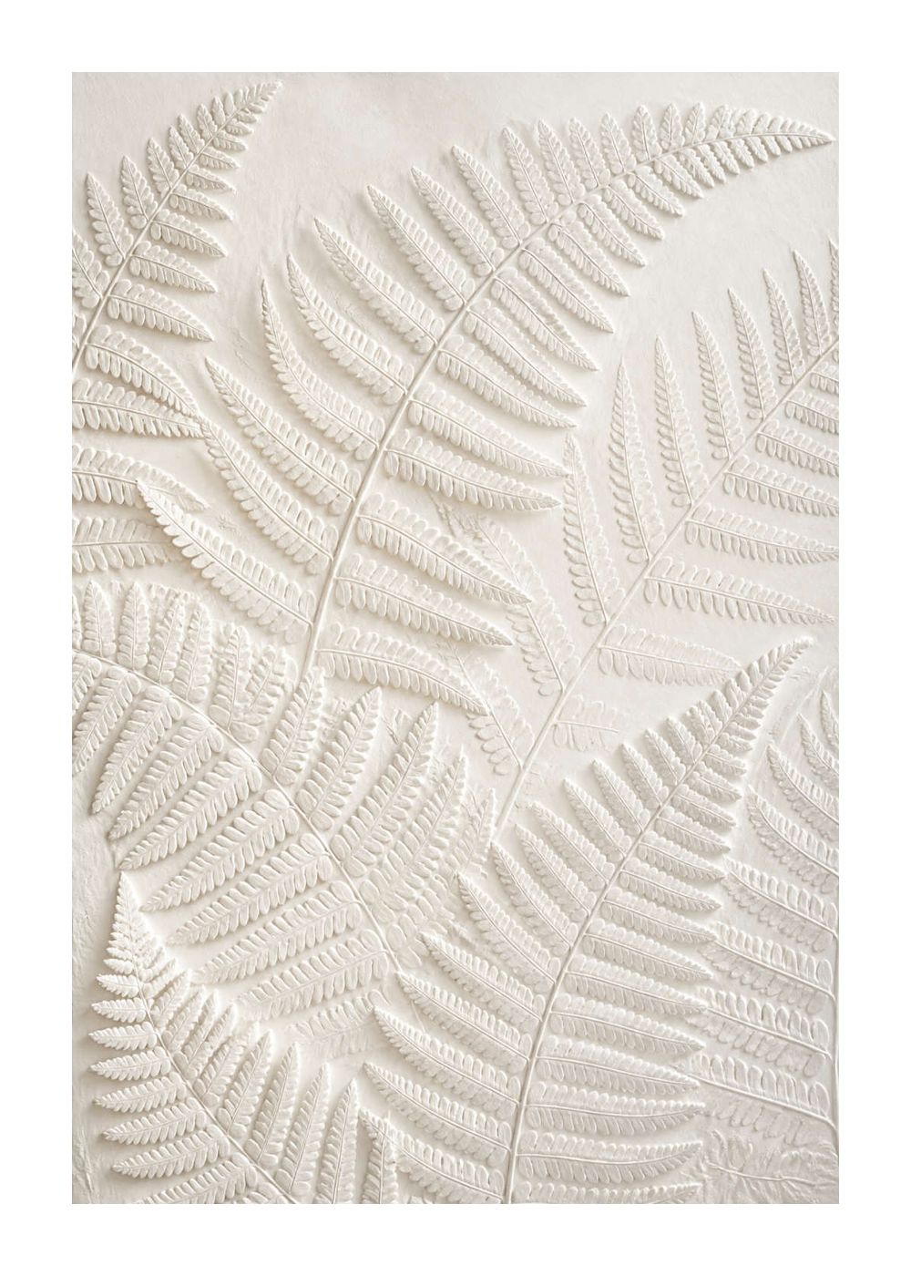 Fern Relief Poster
