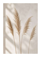 Dried grass seed heads Poster