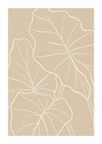 Alocasia leaf contour study Poster