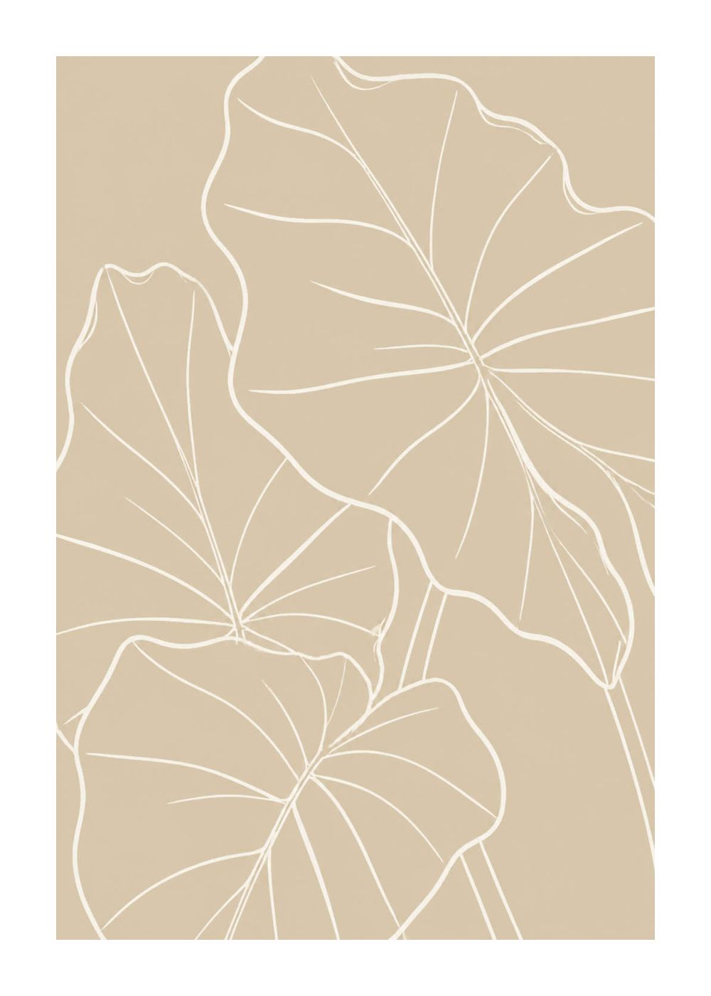 Alocasia leaf contour study Poster