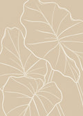 Alocasia leaf contour study Poster