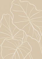 Alocasia leaf contour study Poster