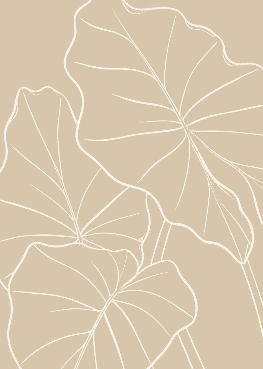 Alocasia leaf contour study Poster