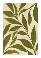 Olive botanical cut-paper forms Poster