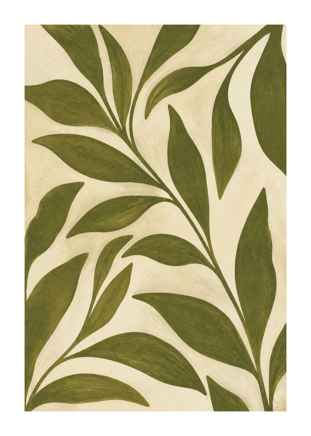 Olive botanical cut-paper forms Poster