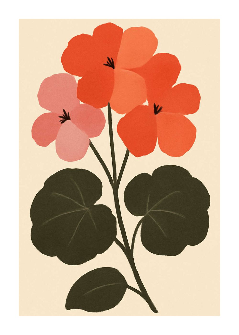 Pelargon i korall och rosa Poster