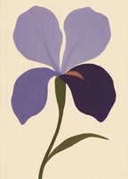 Iris i lavendel och plommon Poster