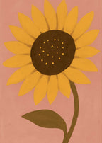 Solros mot puderrosa Canvas