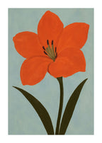 Amaryllis i orange och blått Poster