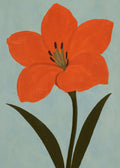 Amaryllis i orange och blått Canvas