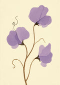 Luktärt i lavendel Poster