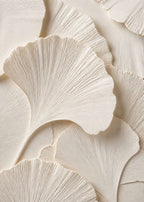 Ginkgorelief i elfenben Poster