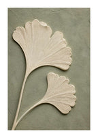Ginkgoblad mot salvia Poster