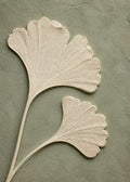 Ginkgoblad mot salvia Poster