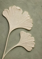 Ginkgoblad mot salvia Canvas