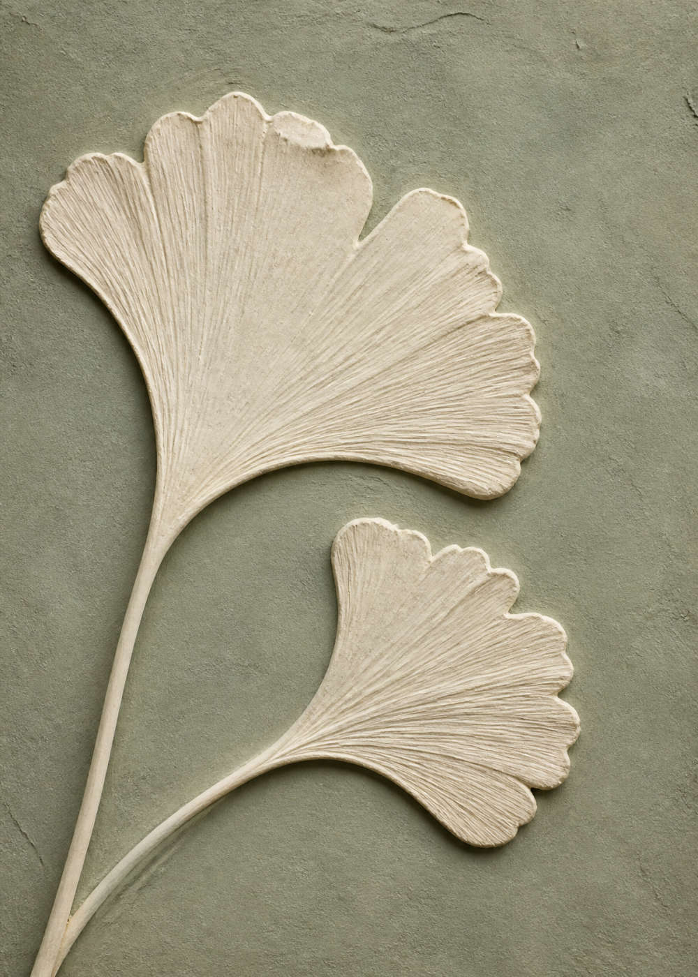 Ginkgoblad mot salvia Canvas