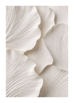 Vallmoblad i vit relief Poster
