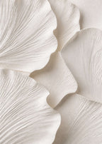 Vallmoblad i vit relief Canvas