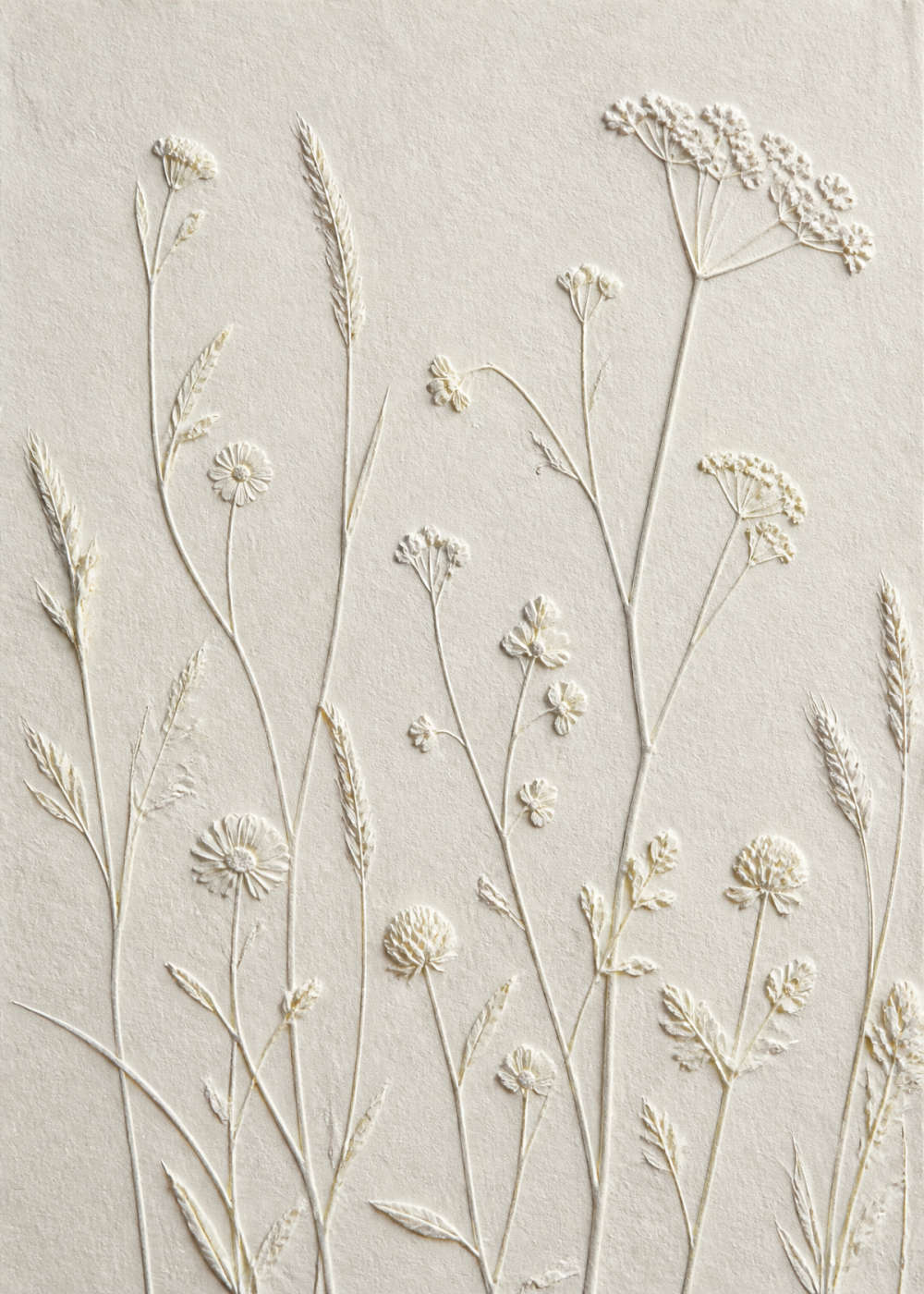 Ängsblommor i präglat papper Poster