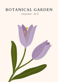 Purple Crocus Garden