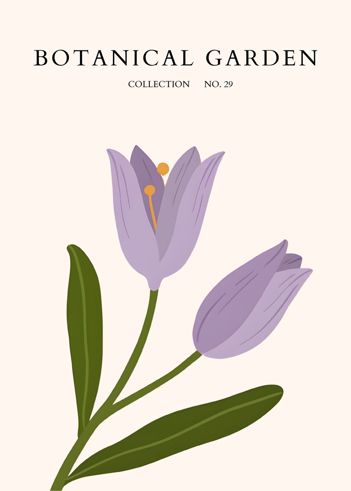 Purple Crocus Garden