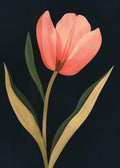 Red Tulip at Night