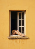 Relaxed Legs In Window Poster