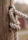 Rustic Rope Knot Poster