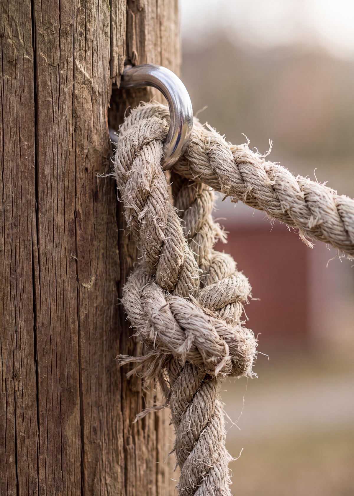 Rustic Rope Knot Poster