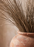 Rustic Terracotta Dry Grass Poster