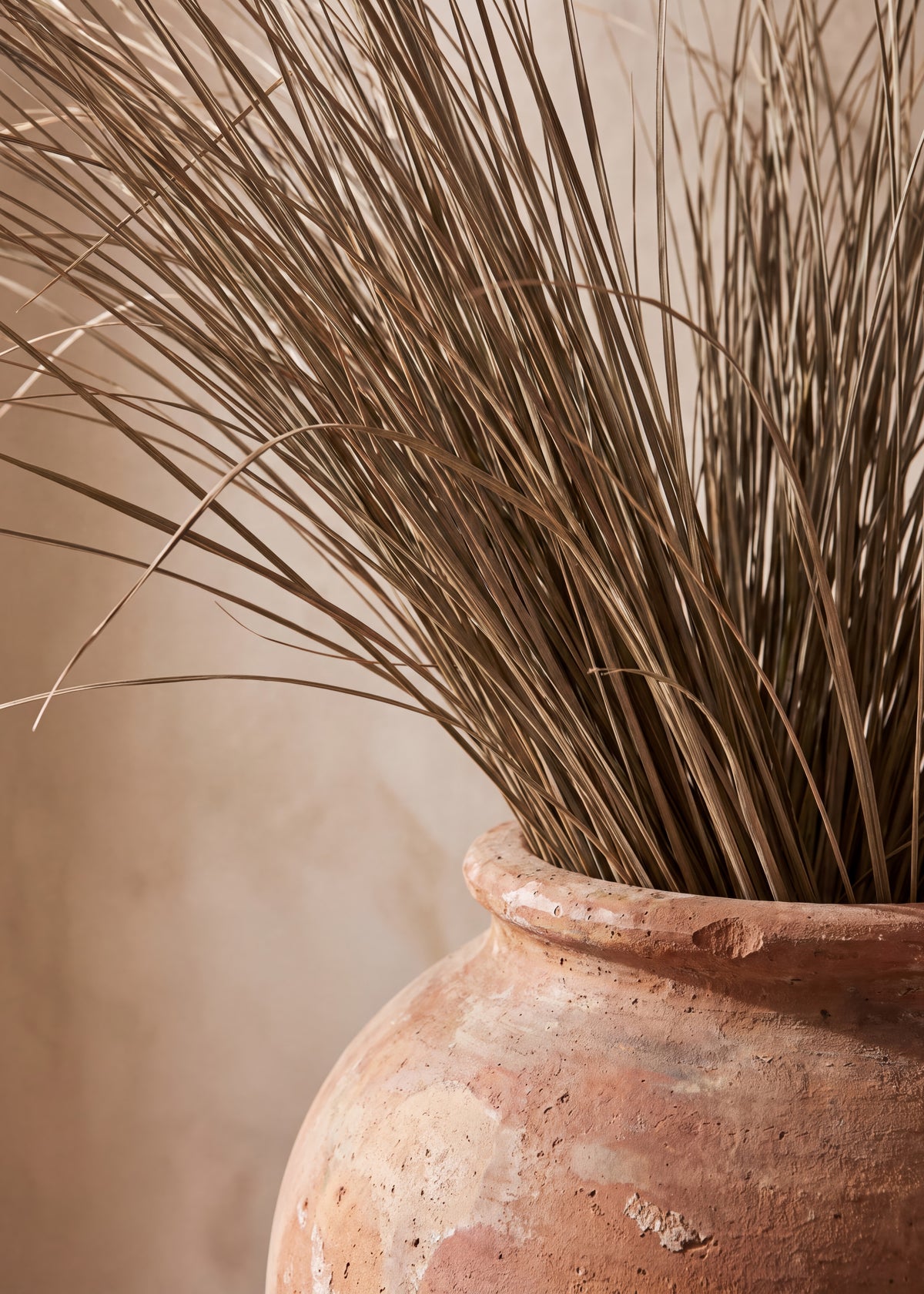 Rustic Terracotta Dry Grass Poster