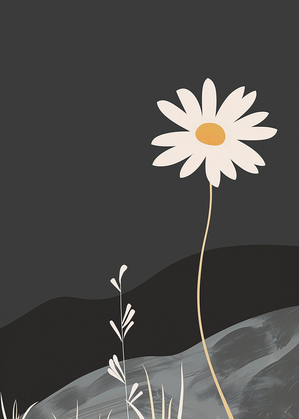 Single Daisy at Night
