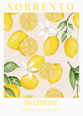 Sorrento Lemons