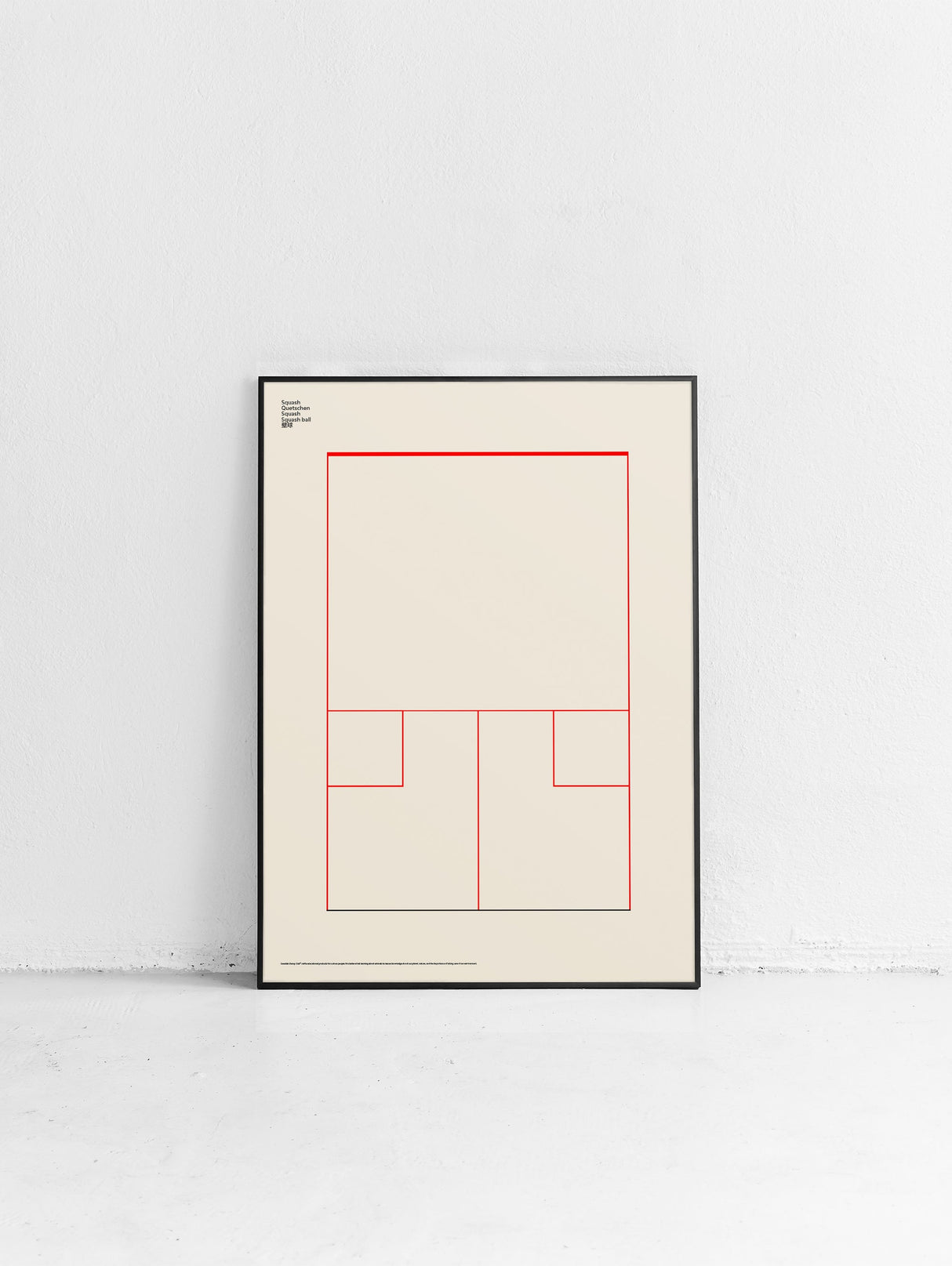Sport Squash Poster