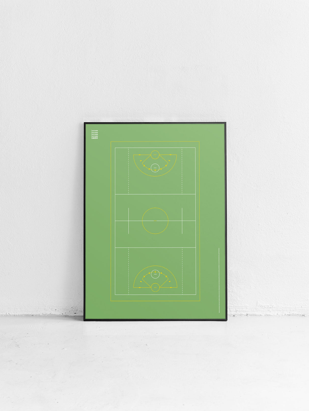 Sport Lacrosse Poster