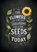 Today_s Seeds Tomorrow_s Flowers Poster