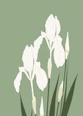 White Flowers on Sage