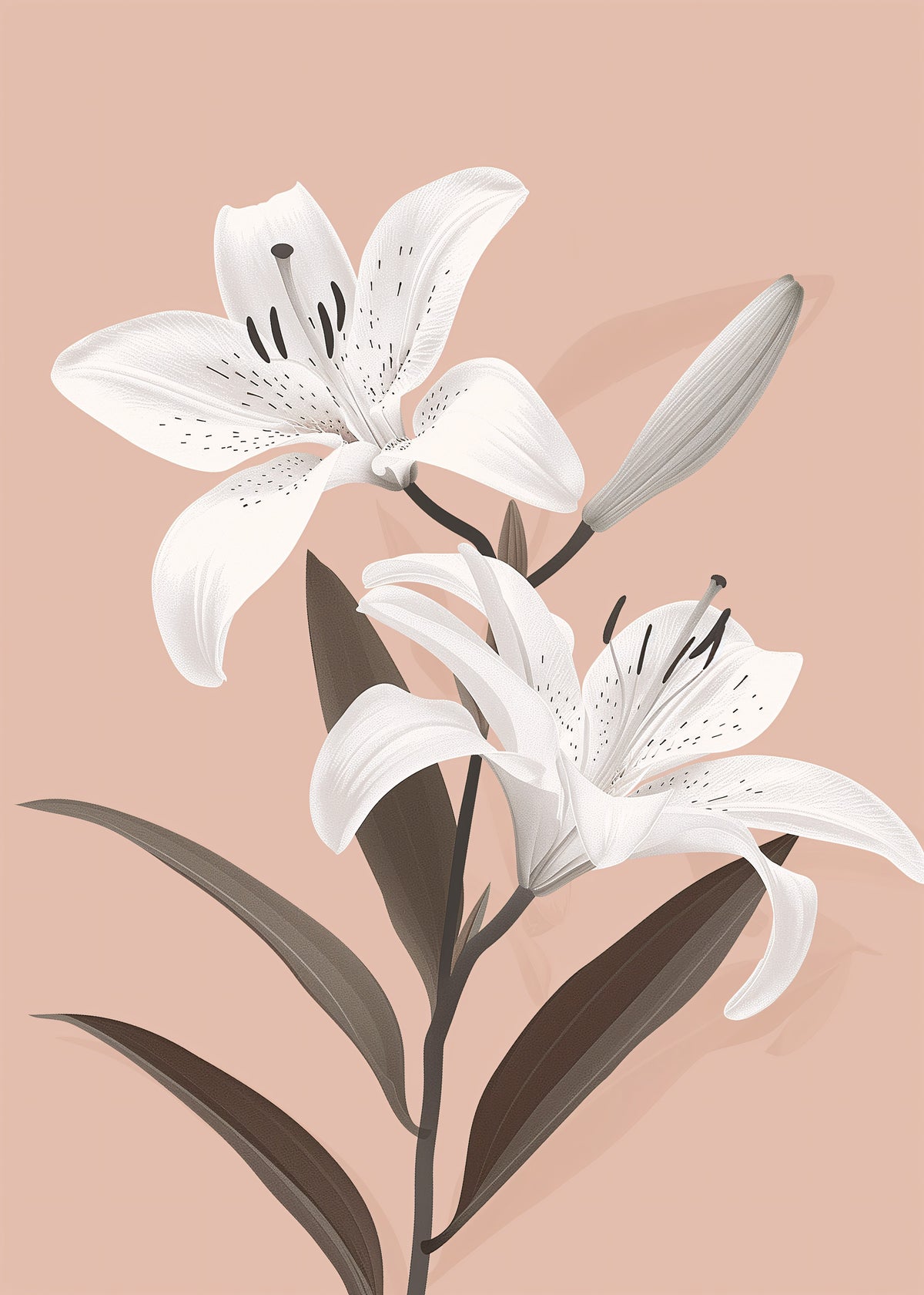 White Lily on Blush