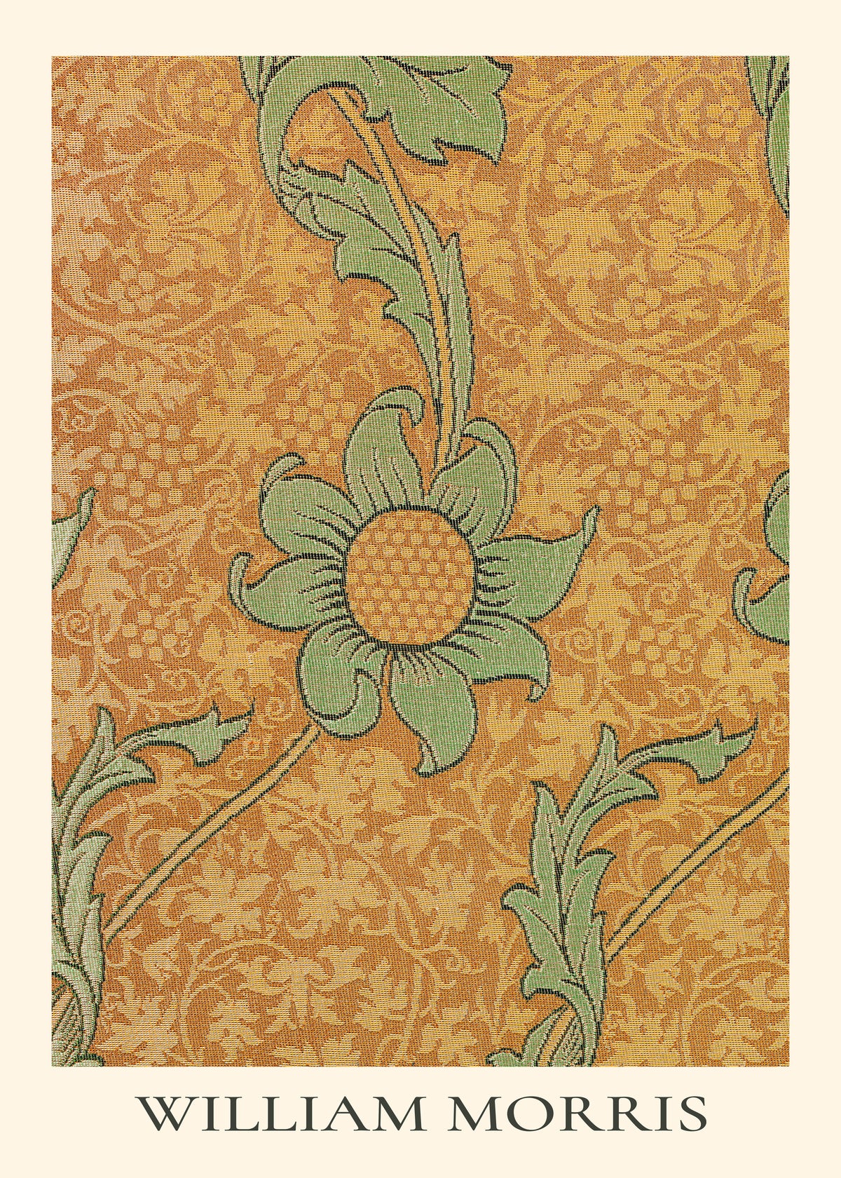 William Morris 8116