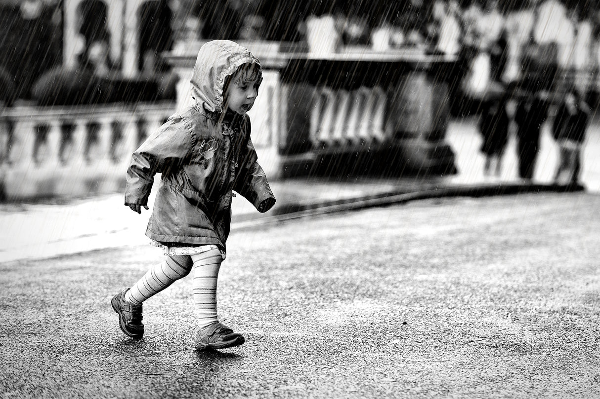Rainy Day Poster och Canvastavla