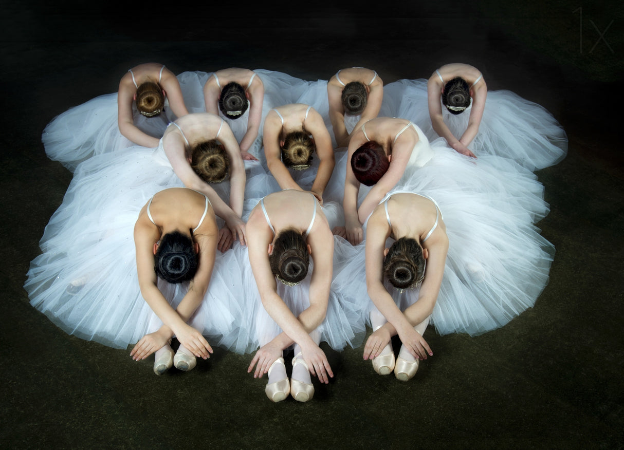 Performance Poster och Canvastavla