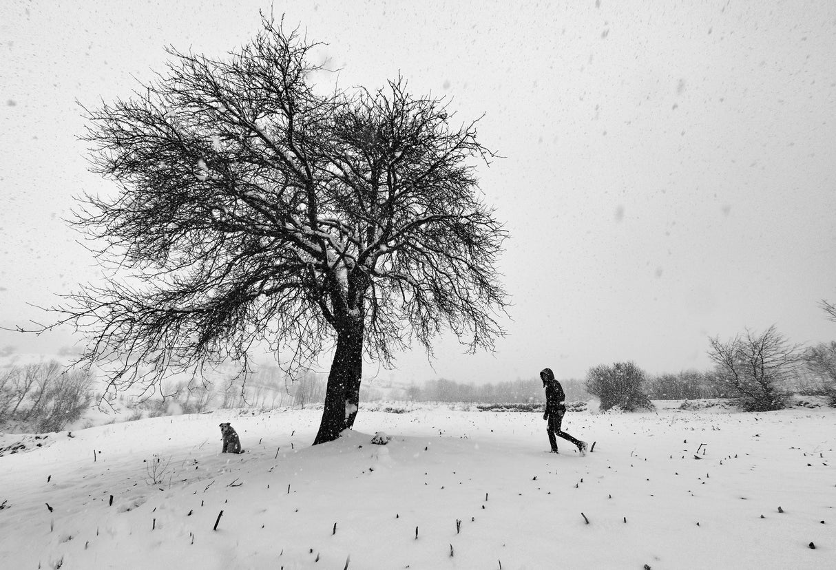 A Cold Day Poster och Canvastavla