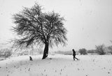 A Cold Day Poster och Canvastavla