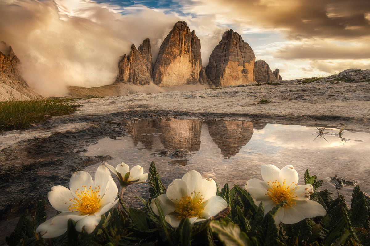 Tre Cime di Lavaredo, always great emotions! Poster och Canvastavla