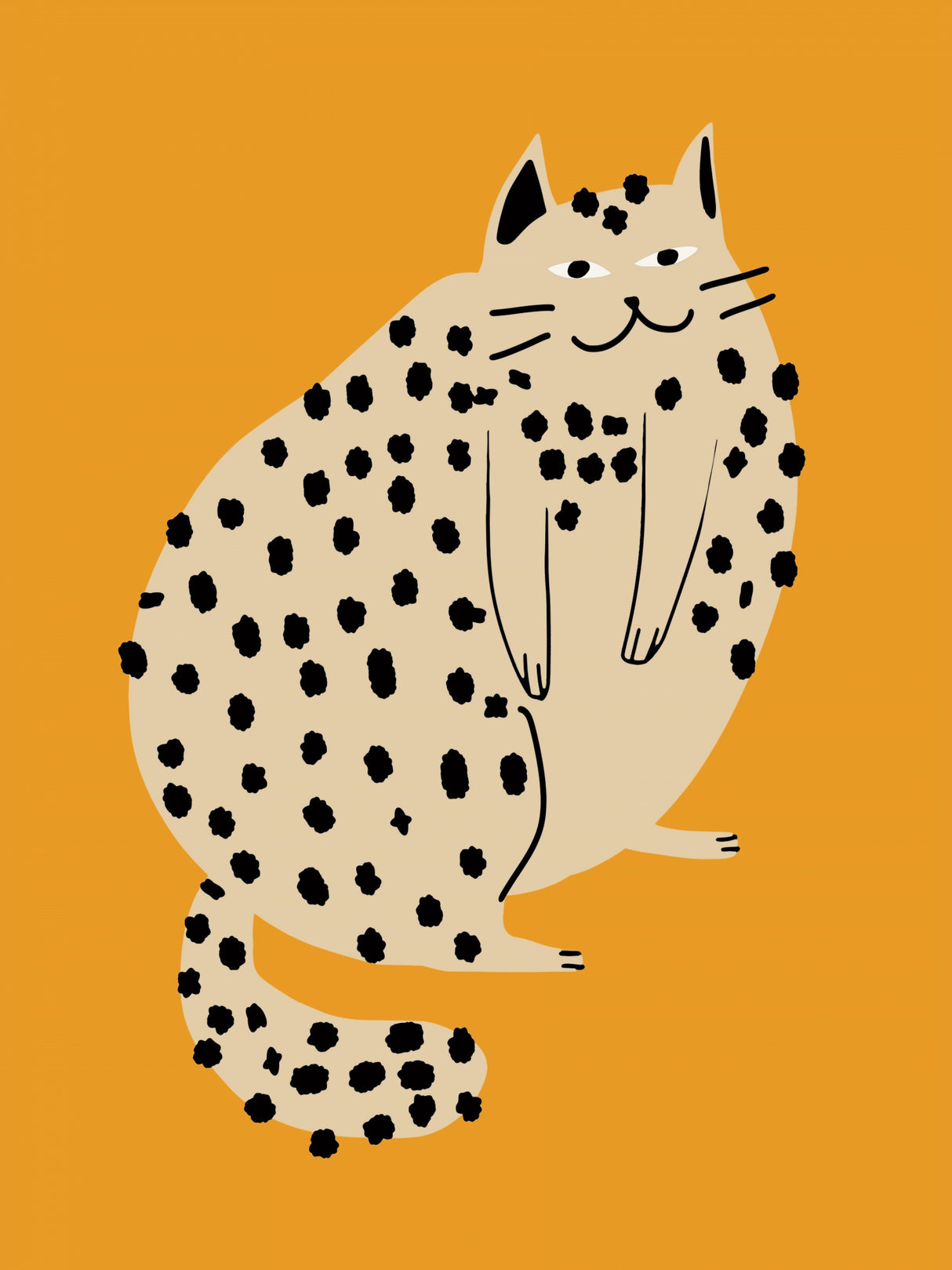 Orange Plump Cat Poster och Canvastavla