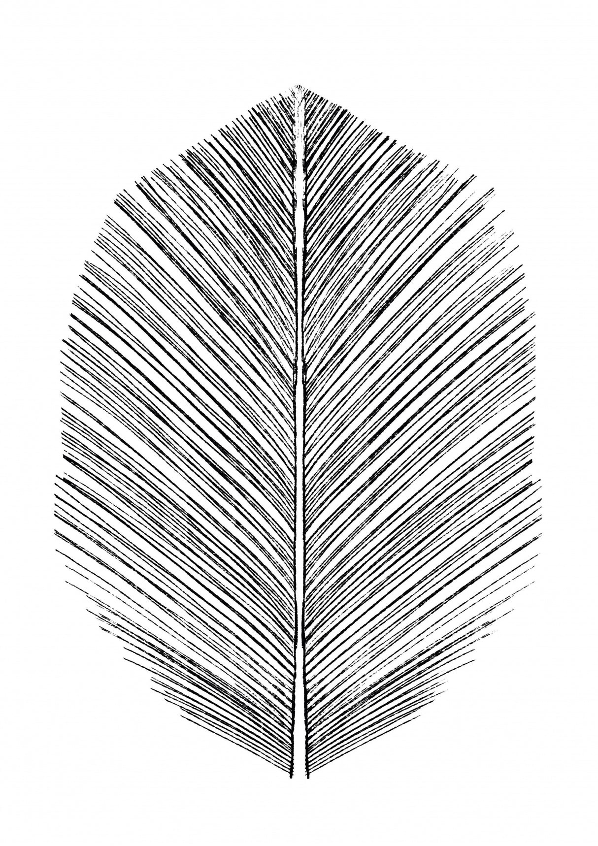 Feather Poster och Canvastavla