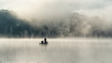 Immersed in the Mist Poster och Canvastavla
