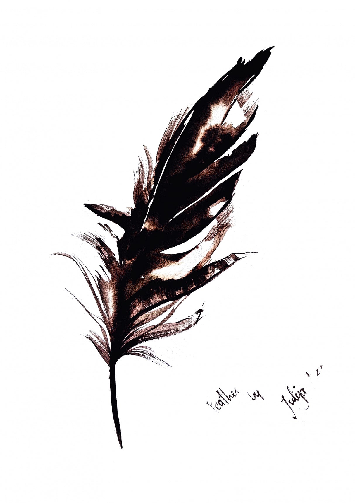 Feather Poster och Canvastavla