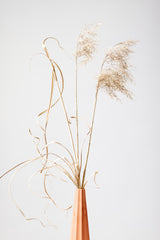 Dried Grass Terracotta Poster och Canvastavla